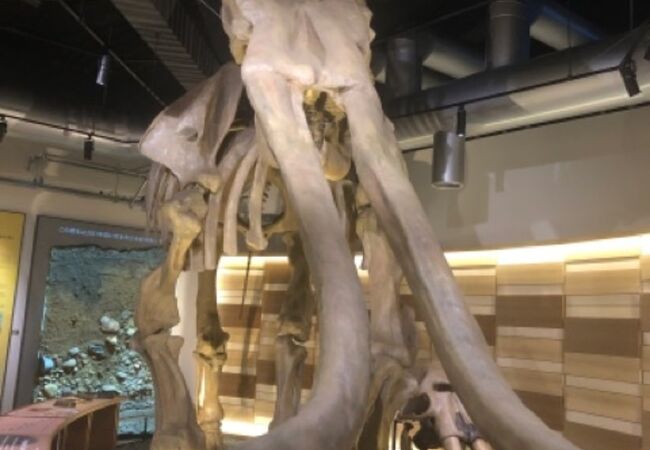 特徴のあるところでは無いです。