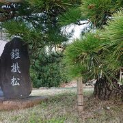 浜松市役所近くに立地する松