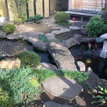 《養壽院》「庭園」と池の鯉