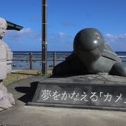 奄美大島の北端で海がきれいです