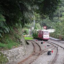 かわいらしい車体