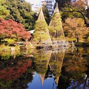 徳川御三卿の一つの清水家下屋敷のあった紅葉の綺麗な日本庭園