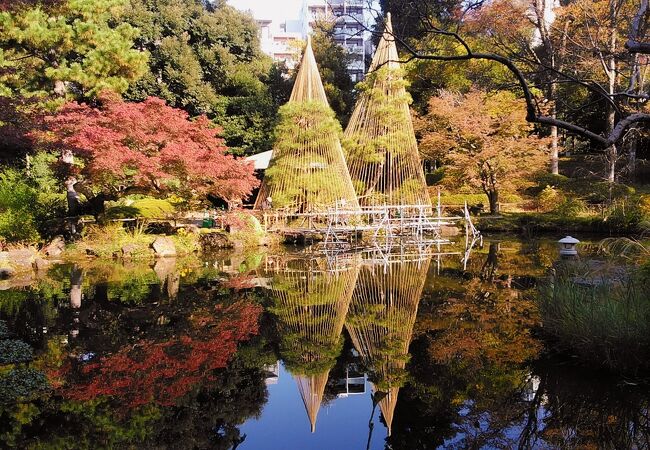 徳川御三卿の一つの清水家下屋敷のあった紅葉の綺麗な日本庭園
