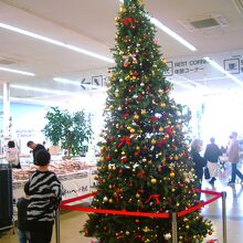 店内正面のクリスマスツリー