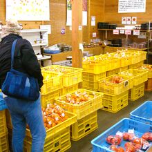 紀菜柑には無い物がある