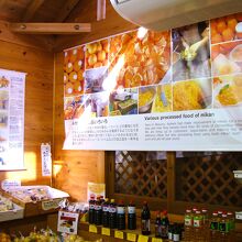 みかんの解説POP