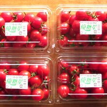 優糖星４パック購入です