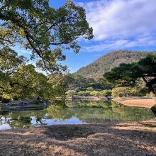 背景の山を借景にして、松が見事