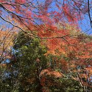 茨城と栃木の県境のとりのこさん