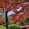 日本庭園 由志園