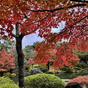 落ちつく日本庭園