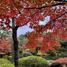 日本庭園 由志園