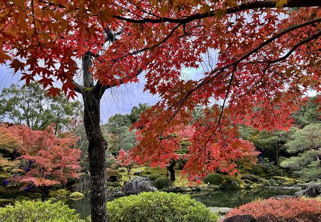 落ちつく日本庭園