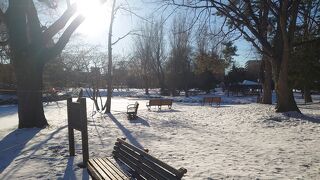冬の中島公園