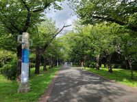 辰巳の森緑道公園