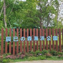 辰巳の森海浜公園