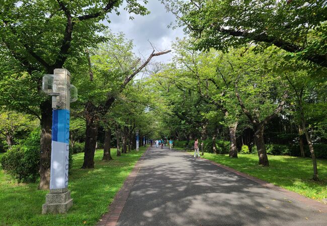 桜の季節に賑わう公園