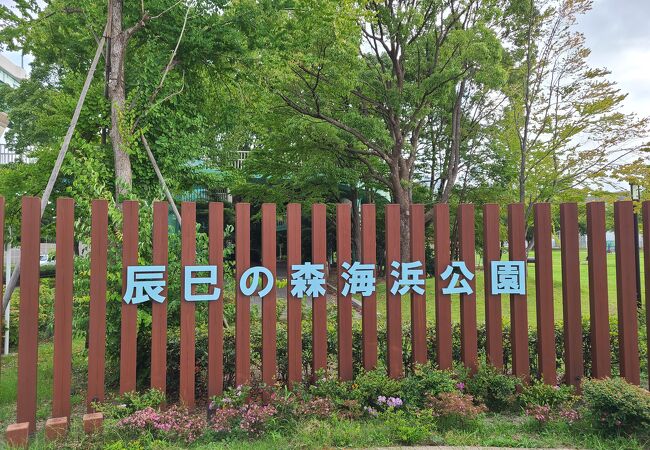 五輪で整備された広い公園