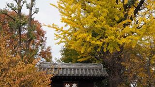 歴史に思いを馳せる　日本最古の学校跡