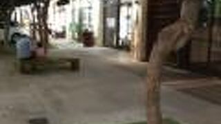 コオリナ唯一の