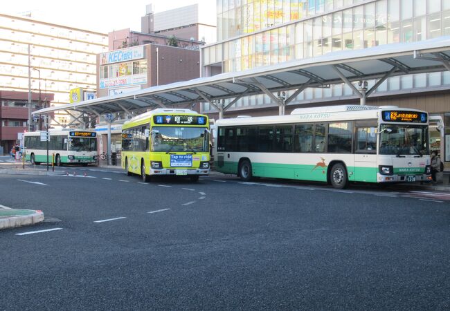 運転手さんの案内が丁寧でした