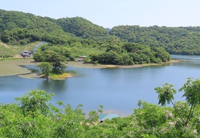 思ったよりも大きい池（湖）でした