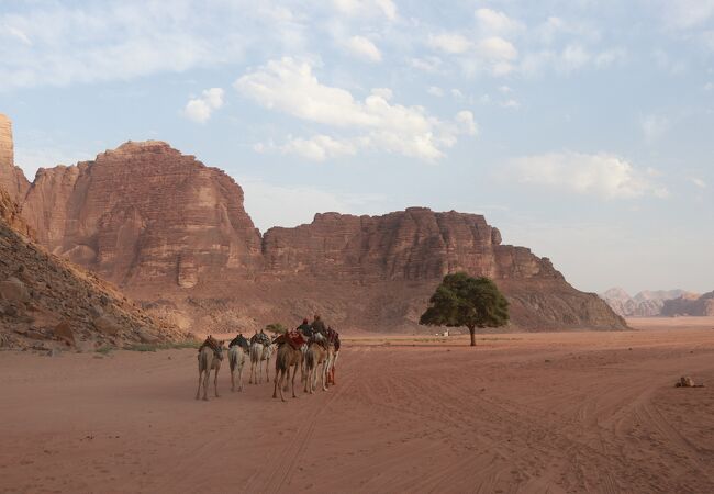 砂漠と岩山の風景