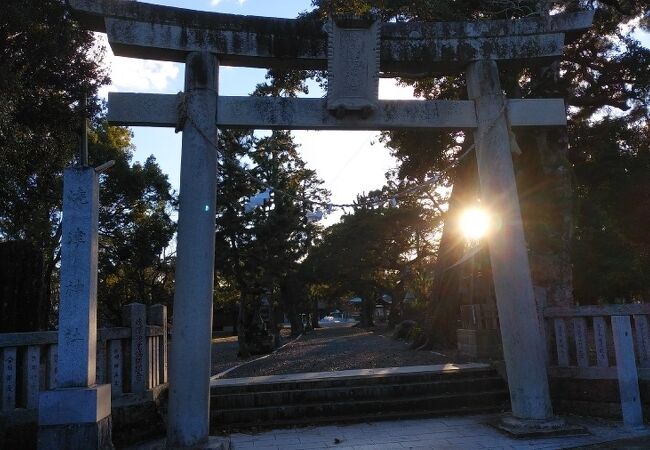 焼津神社