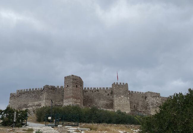 Ayasoluk Castle