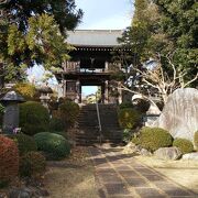 都内のお寺とは思えない静けさ