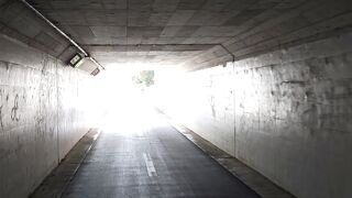 多摩湖自転車道