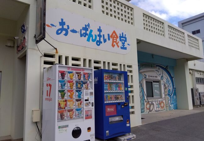 伊良部漁港直営の食堂