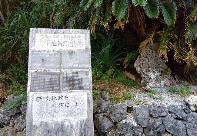 二つの池