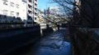 都会を流れる神田川