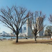 豊洲駅前にある芝生に水辺も楽しめる公園