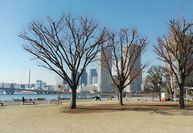豊洲駅前にある芝生に水辺も楽しめる公園