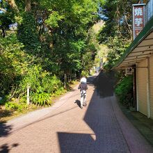 長崎鼻土産品店