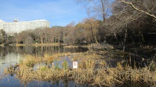 井の頭恩賜公園