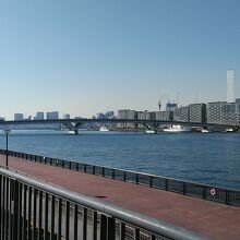 豊洲大橋