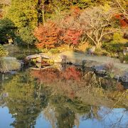 きれいで静かな紅葉