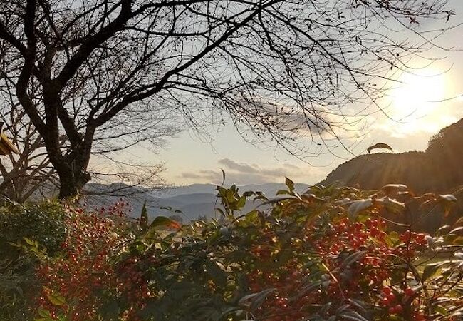 のどかで気持ち良い温泉