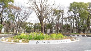 白川公園