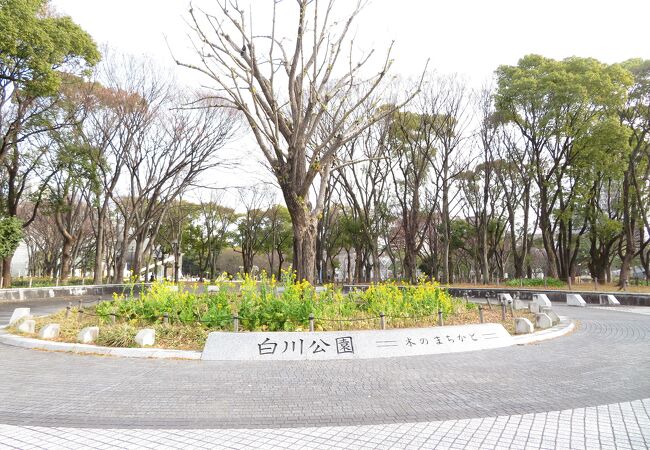 白川公園