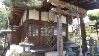 壮絶な生涯に少し驚きました