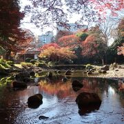 都心の紅葉スポット