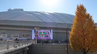 休日は賑やかです