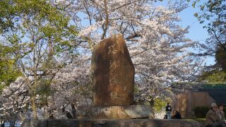 膳所さくら祭り