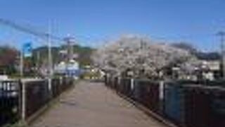 密度はあまり濃くないので