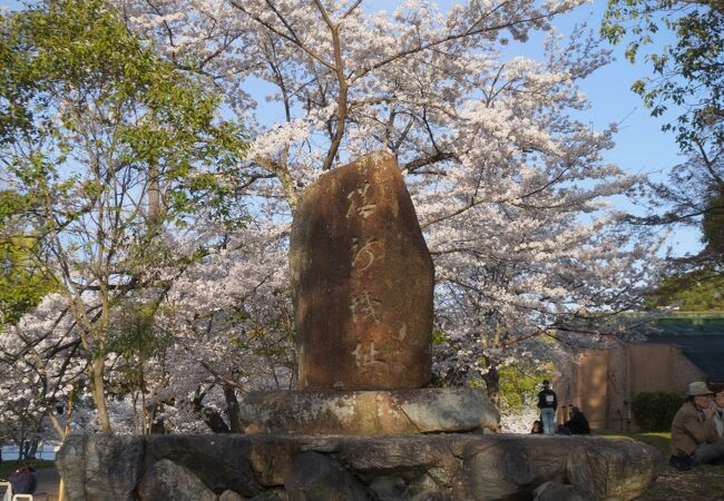 膳所さくら祭り