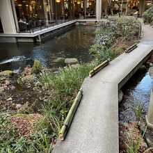 アネックス館から本館移動への中道